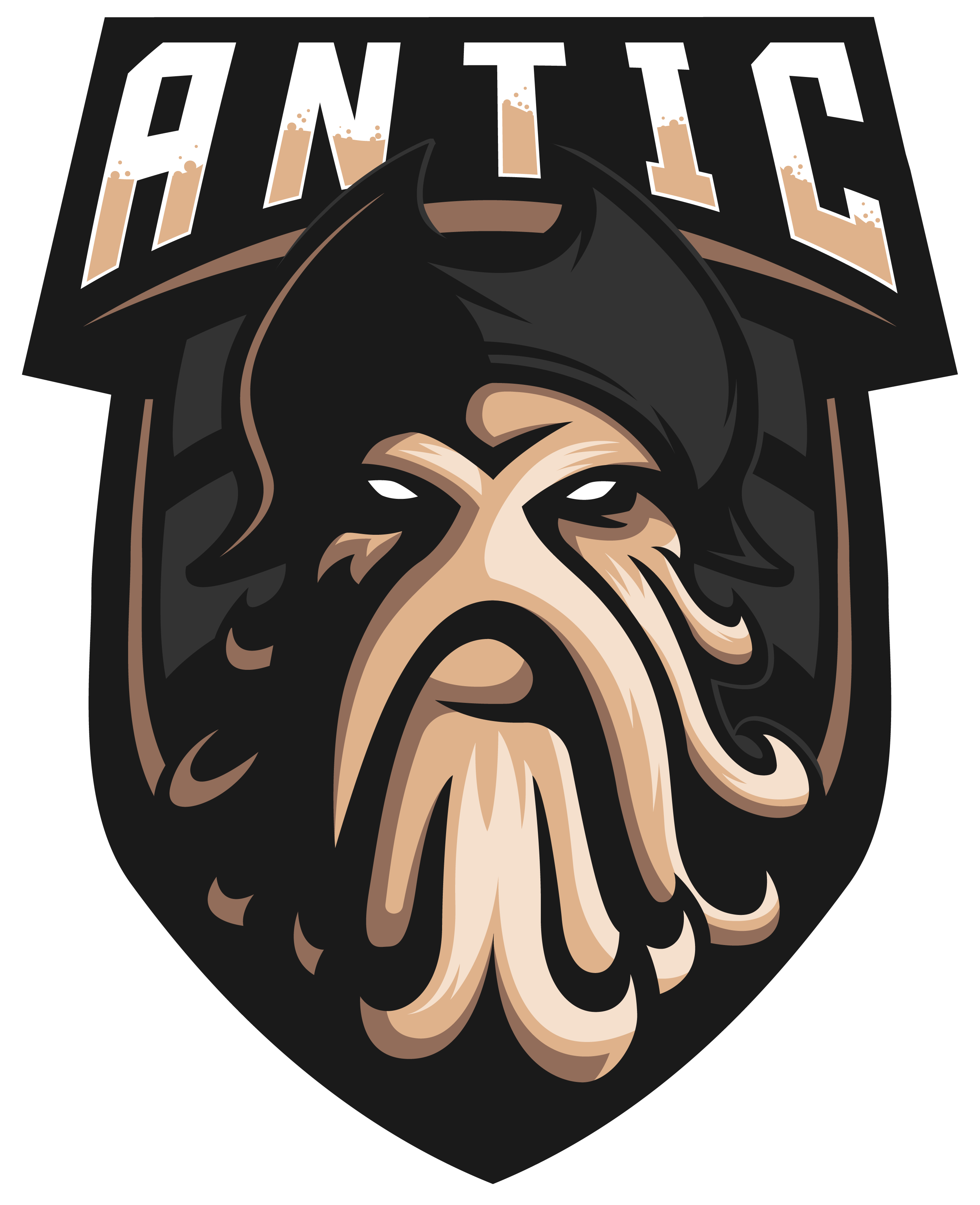logo_antic